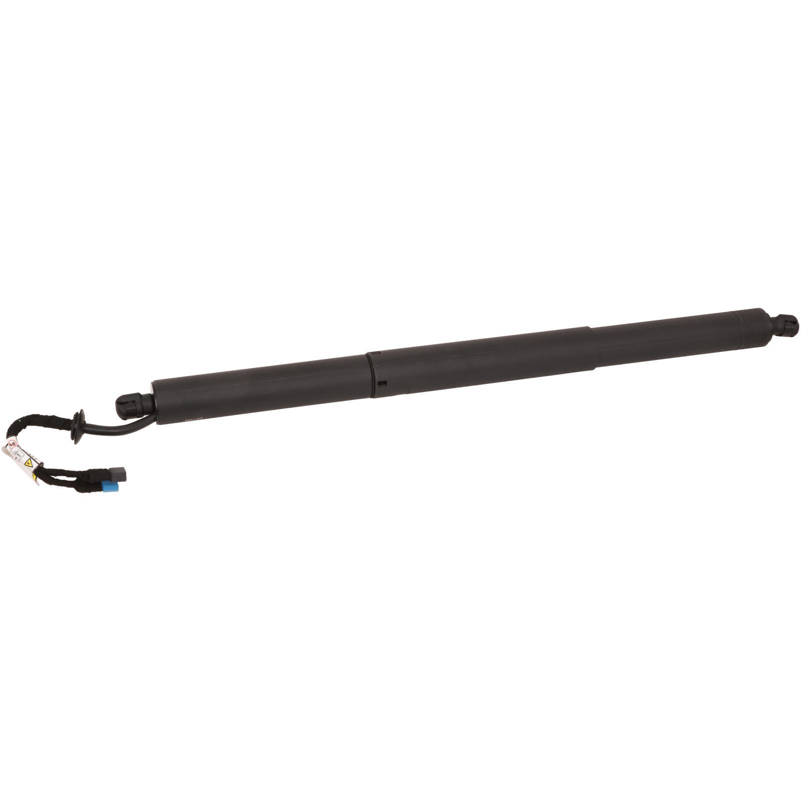 GASFEDER HECKKLAPPE   F39, passend für 2020->> 51249854582